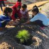 Students at South Fortuna Elementary planting the rain garden