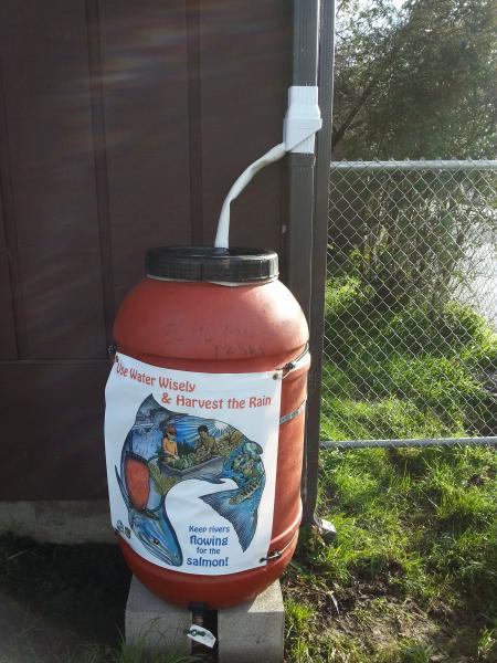 Photo of an installed rain barrel at Union Street Charter School in Arcata, CA.
